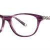 VIVID BOUTIQUE 4037